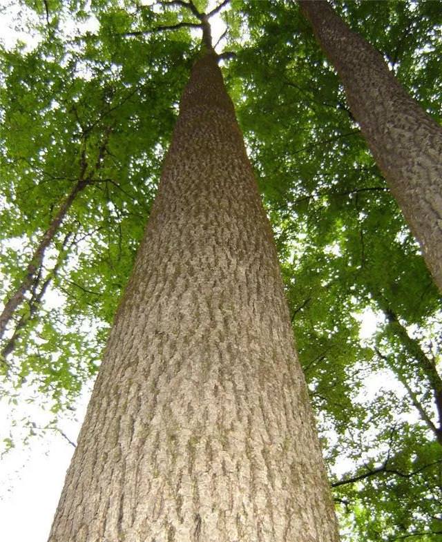 永盈会·[中国]官方网站